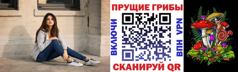 Галлюциногенные грибы MAGIC MUSHROOMS  Купить закладки  Красноперекопск 